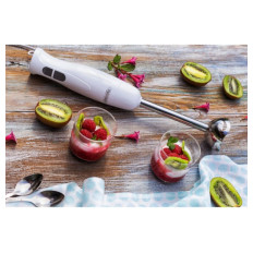 Mesko  blender MS4619